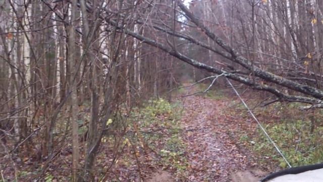 Прадо и лебедка смотреть онлайн