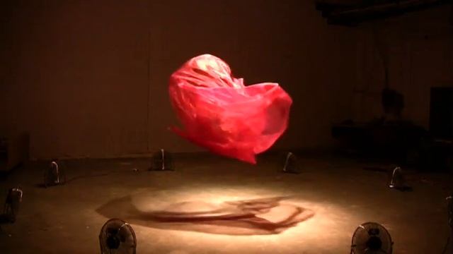 Magic Carpet | Daniel Wurtzel смотреть онлайн