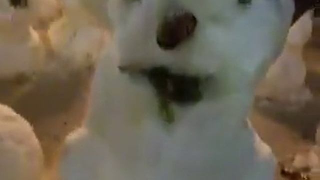 Снеговики на арбате в январе 2006 смотреть онлайн