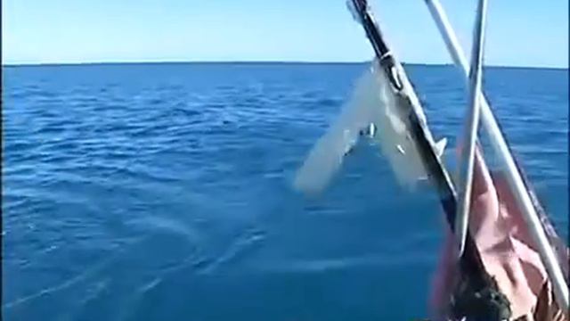 NON SOLO TAP ECCO IL GASDOTTO TARGATO LNG смотреть онлайн