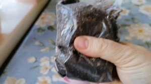 Обзор набора для посадки Адениумов. 11.03.2024.