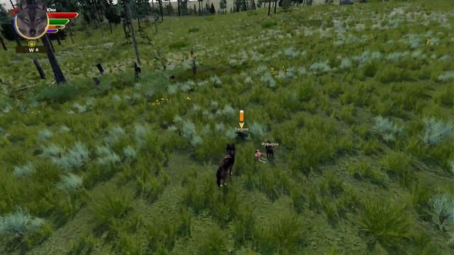 ФИНАЛ ЖЕЛЕЗНОЙ ВОЛЧИЦЫ! WolfQuest: Anniversary Edition #90 смотреть онлайн