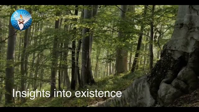 14. Insights into existence Chapter 11 смотреть онлайн