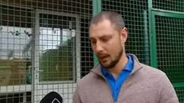 Стоит ли брать собаку из приюта и как это сделать? смотреть онлайн