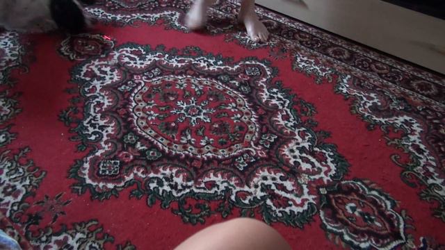 Нам сегодня пол года. Подарок подарили смотреть онлайн