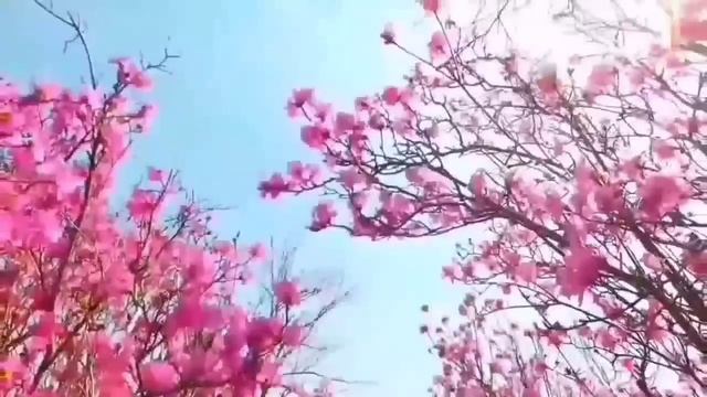 ВЕЛИКИЕ БЕЗДЕЛЬНИКИ И БРЕХУНЫ. VREDINA LIFE. ОБЗОР. смотреть онлайн