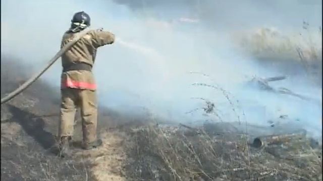 В Пензенской области за выходные зафиксировано 40 возгораний смотреть онлайн