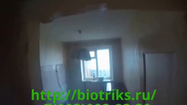 Как происходит обработка квартиры против домашних клопов в г.Подольск смотреть онлайн