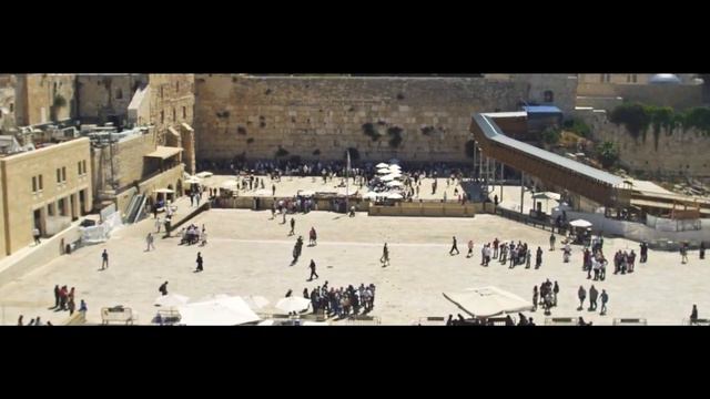 TORACLUB | промо смотреть онлайн