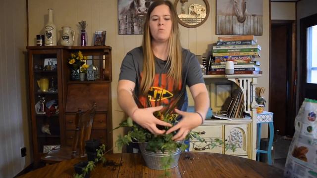 February Houseplant Haul // Potting Houseplants & Succulents смотреть онлайн