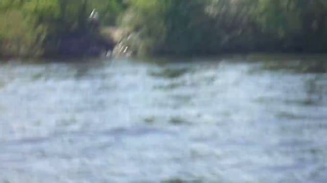 носовой тэнт тролингова дуга глисер аква стар 320 меркури 5 смотреть онлайн