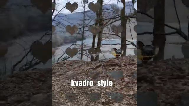 Прокат Квадроциклов Рафтинг Джипинг БаняЭкстрим Кемпинг Хамышки Республика Адыгея смотреть онлайн