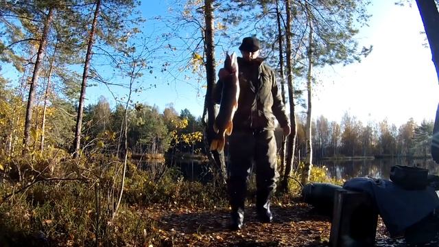 Рыбалка на озёрах Соколье -5.Всеволожский р-н. 25.10.2019 смотреть онлайн