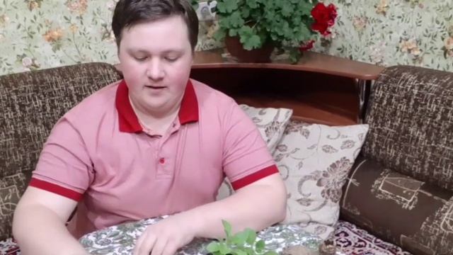 Купил семена, самое лучшее лекарство/Что будем сеять в школе смотреть онлайн