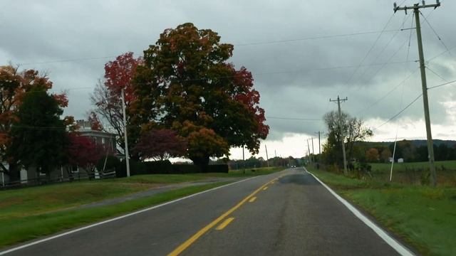 Цвета и краски осени | Вирджиния Осень 2023 | Природа смотреть онлайн