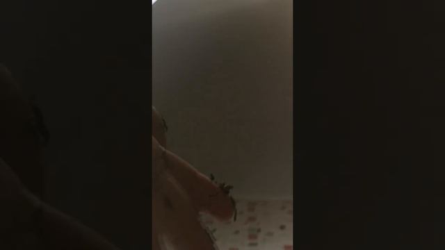 Как легко заварить чай без пакетика. Лайфхак 100% работает смотреть онлайн