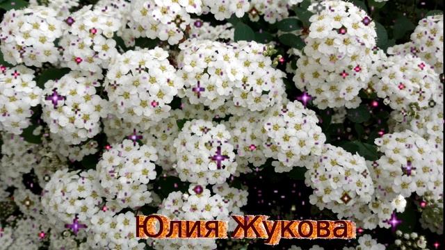 Медитация от чувства вины и стыда смотреть онлайн