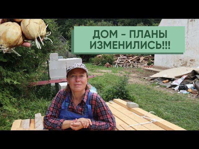 Изначально всё задумывалось иначе Изменились планы по реновации дома Результаты черенкования роз смотреть онлайн