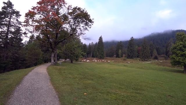 Гармиш-Партенкирхен. Наш отпуск в немецких Альпах смотреть онлайн