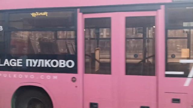 Розовый автобус МАЗ-206 на Московском проспекте смотреть онлайн