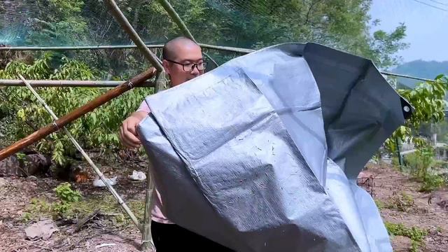 家里鸡队伍扩大，搭了一个大鸡棚，3个孩子先体验 смотреть онлайн