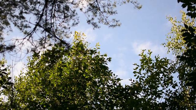 Учусь дышать. (Варган Глазырина Магнум.) смотреть онлайн