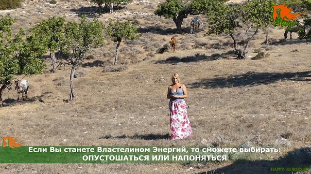 Зачем быть Властелином Энергий? смотреть онлайн