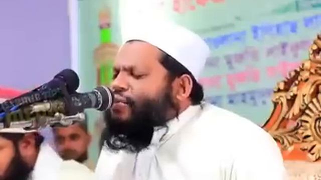 Tilawat Quran Best Voice | Beautiful Quran Recitation | Quran Recitation Really Beautiful