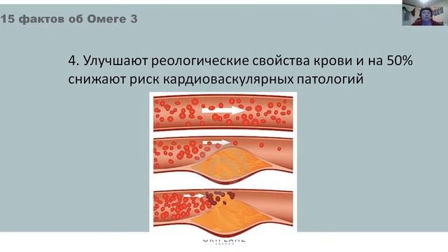 #ПроекцияРоста | Инновации. Качество. Люди ??? Новинки каталога №13 смотреть онлайн