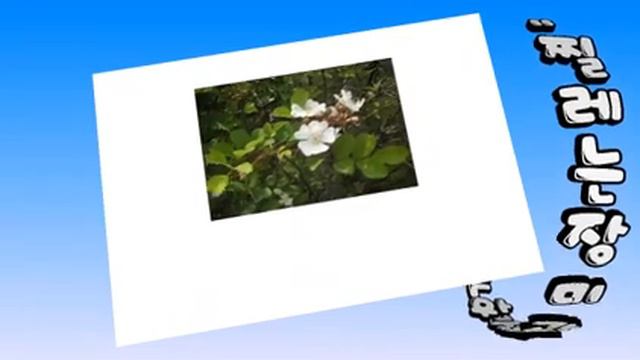 찔레 смотреть онлайн