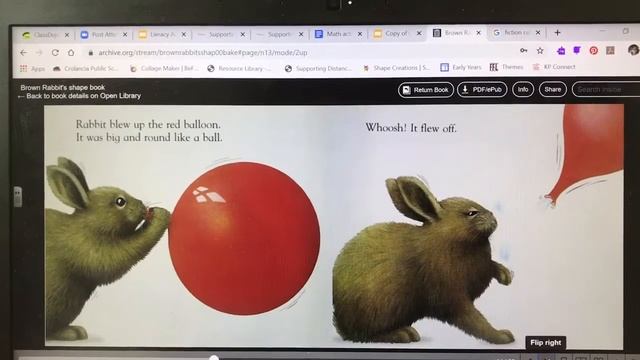 Brown Rabbits Shape Book by Alan Baker смотреть онлайн