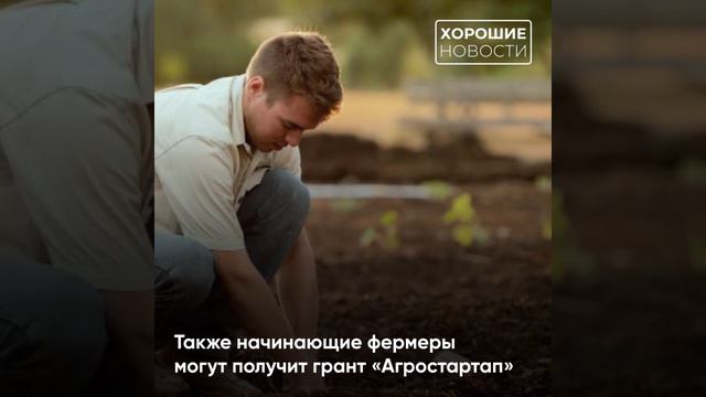 Как развивается сельское хозяйство в России последние 20 лет смотреть онлайн