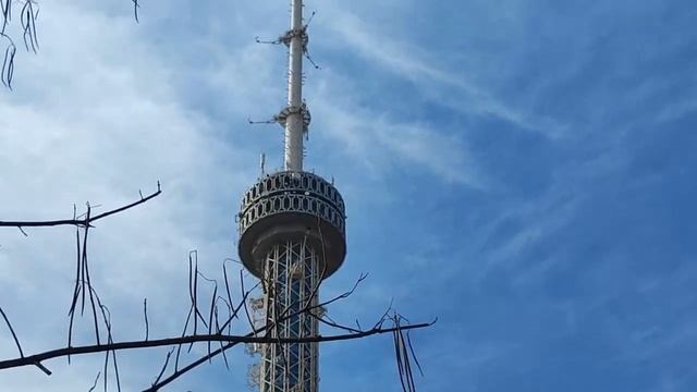 Ташкент.Телебашня.Канал.Дерево.#узбекистан смотреть онлайн