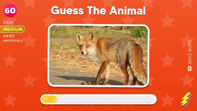 Guess 120 Animals In 3 Seconds | Easy, Medium, Hard, Impossible