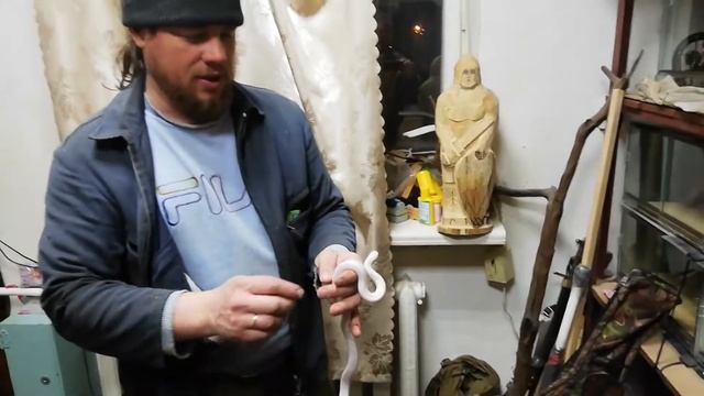 Укус королевской калифорнийской змеи. смотреть онлайн