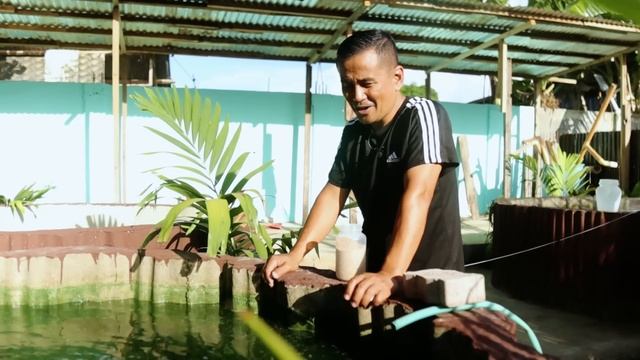 RAISING BIRD AND FARMING FISH! My Exotic Birds Have Babies, How to Grow Your Fish Faster! смотреть онлайн