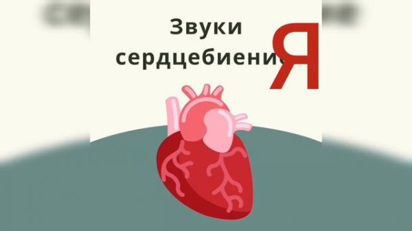 Звуки сердцебиения Жүрек соққысының дыбысы