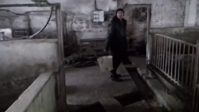 Корма Для Свиней 2 смотреть онлайн
