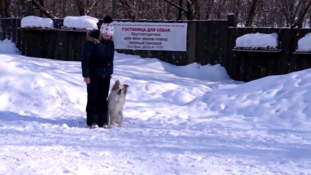 Семинар с Олегом Макаровым, 12-13 марта.2016 г. г Киров смотреть онлайн