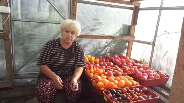 КАК ПРАВИЛЬНО ВЫБИРАТЬ СОРТА ТОМАТОВ? Ольга Чернова.