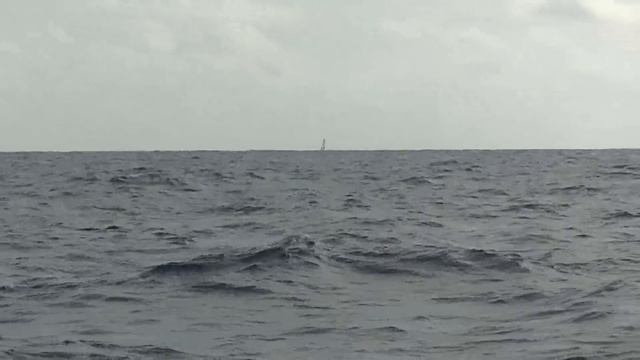 J67 : Navigation à vue pour Jean Le Cam et Yann Eliès / Vendée Globe смотреть онлайн