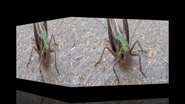 ФОТО НА ТЕЛЕФОНЕ XIAOMI REDMI 9C смотреть онлайн