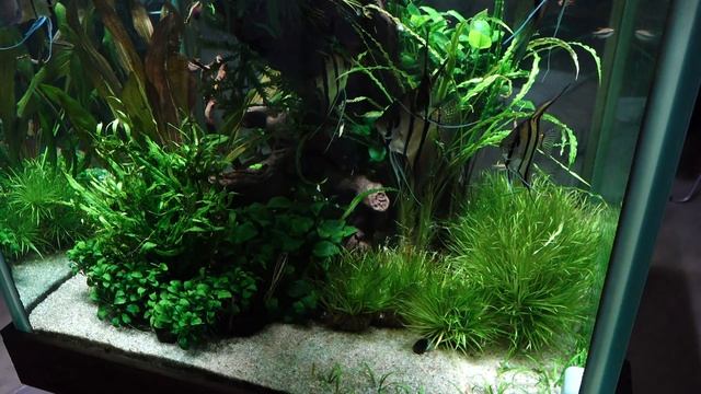 Медленный Кубик