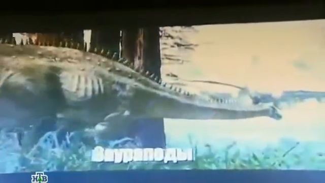 Таинственная Россия Царство драконов смотреть онлайн