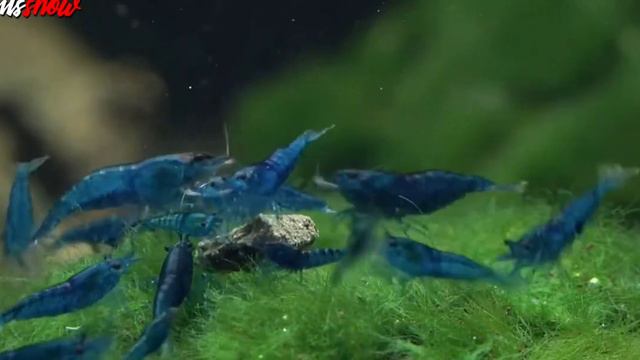 признаки судного дня 1 смотреть онлайн