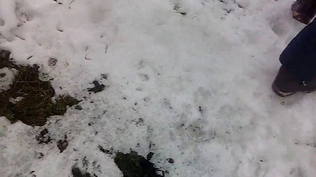 Ходим в заброшку Чих-пых смотреть онлайн