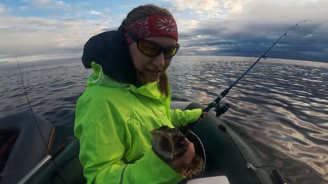 ТРЕСКА/Горбуша/Сёмга Рыбалка на Кольском Белое море смотреть онлайн