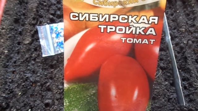 КАКИЕ ЕЩЕ ТОМАТЫ МОЖНО ПОСЕЯТЬ В НАЧАЛЕ МАРТА? Ольга Чернова. смотреть онлайн