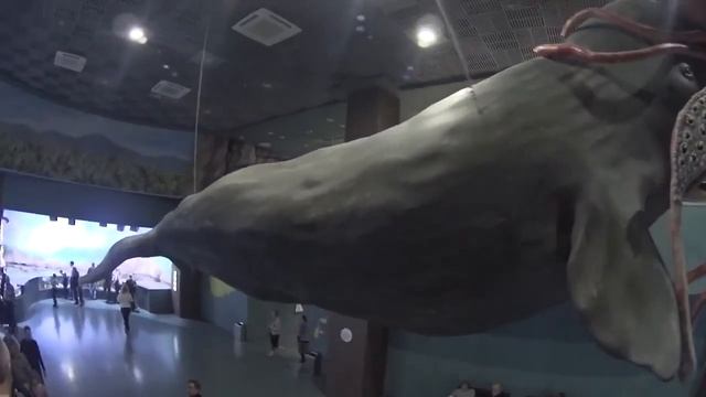 Москвариум - ВДНХ