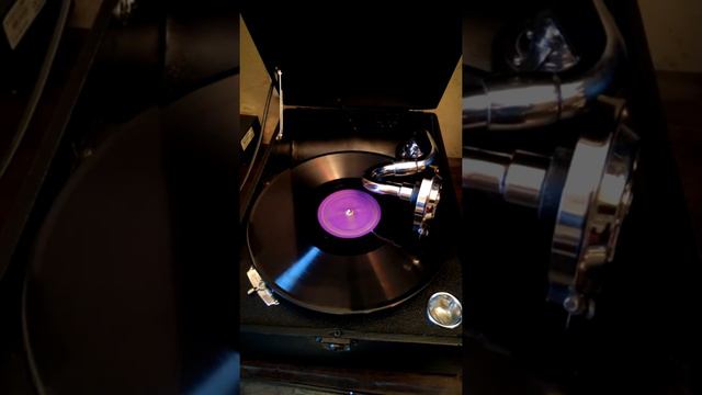 На солнечной поляночке.
